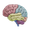 Imagem de 3D Brain