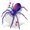 Zdjęcie Spider Solitaire
