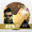 Zdjęcie Deus Ex GO
