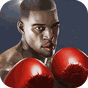 Punch Boxing 3D