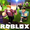 Zdjęcie ROBLOX
