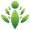 Zdjęcie FamilyGTG - Family Tree