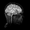 Imagem de Real Anatomy - Brain